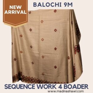 BALOCHI 9M SEQ WORK 1